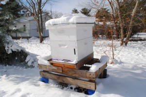 Snow on the Geronimo Hive